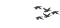 Leiðsluhúsið